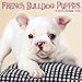 French Bulldog Puppies 2018 Calendar