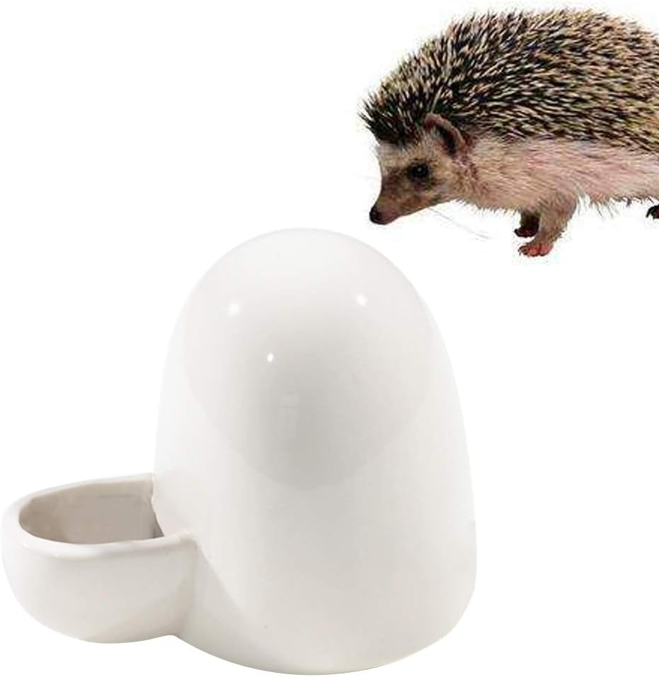 Amazon Com Popetpop Drinking Water Feeder Ceramics Automatic