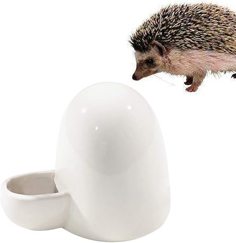 Amazon Com Popetpop Drinking Water Feeder Ceramics Automatic