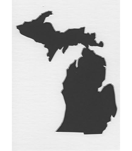 Michigan State Spartans Logo Stencil - 14 Mil Mylar Plastic Stencil For DIY & Crafts (9 Inches)