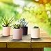 Succulent Pots Ceramic Planters Set of 4 | Cactus Flower Plant Pots | Modern Design 3.7” high Containers in White Gray Pink & Black by Ovillow