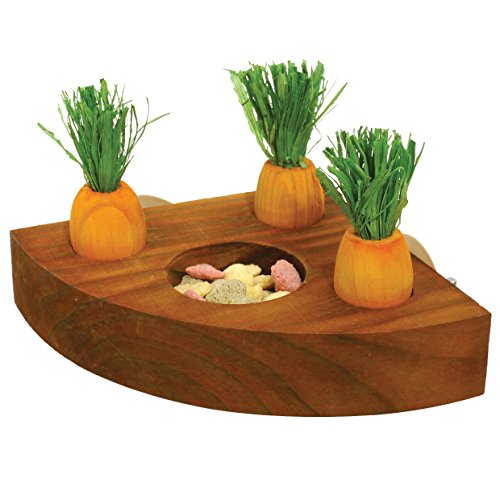 Carrot Toy 'n' Treat Holder - Hamster & Small Animal Toy