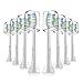 Replacement Brush Heads Compatible with Philips Sonicare Electric Toothbrush,DiamondClean, HealthyWhite, FlexCare,EasyClean, Essence +, PowerUp by Bernito,8 Pack