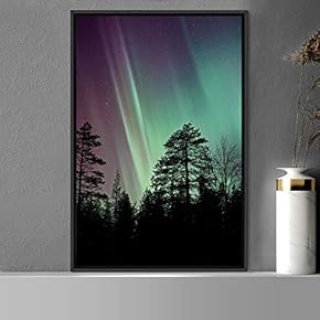 signwin Framed Canvas Wall Art Night View Landscape...