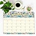Orange Circle Studio 2020 Decorative Desk Blotter Calendar, Botanicals