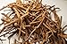 Red Silene Capensis Root 14g (1/2 oz)