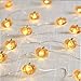 MIYA LIFE Cute Pumpkin String Lights Fall Pumpkin Fairy Lights Battery Operated for Thanksgiving and Halloween Indoor Decorations