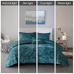 Intelligent Design Queen Comforter Set, Velvet