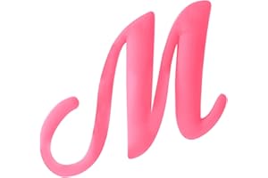 WISH YOUNG 3PCS Letter Charms Compatible with Bogg Bags,2.75 in Large Size Bag Inserts Accessories Decorative Charm for Beach Bag (Hot pink, M.)