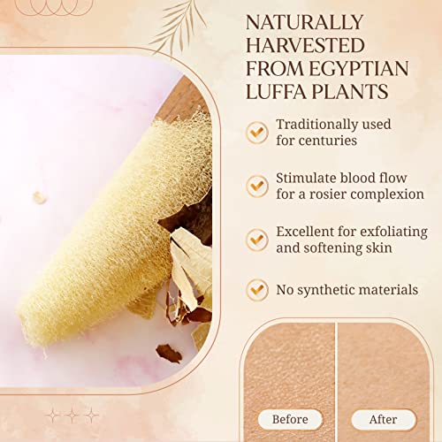 Egyptian Natural Loofah Sponge Exfoliating Body Scrubber Our Bath