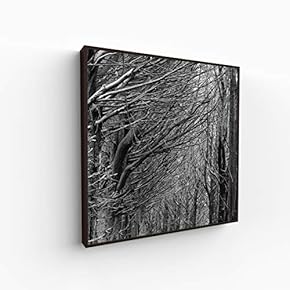 Canvas Wall Art for Living Room, Bedroom Monochrome Image Framed Canvas Prints for Home Decoration Ready to Hang - 16x16 inches