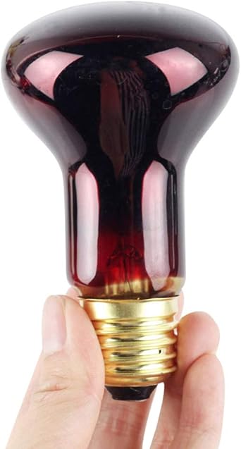 60 watt basking bulb