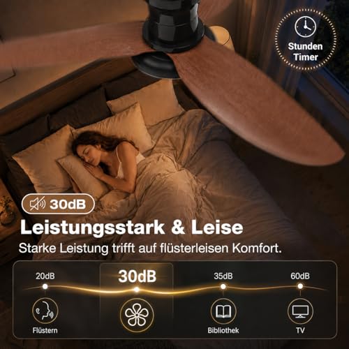 Ceiling Fan with Lighting, Ø100cm App Control & Remote Control, Ceiling Light with Fan, 6 Speed, 3 Variable Colors, Silent DC Motor, Summer-Winter Operation, Timer