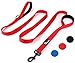 Primal Pet Gear Dog Leash 8ft Long - RED - Traffic Padded Two Handle - Heavy Duty - Double Handles Lead for Control Safety Training - Leashes for Large Dogs or Medium Dogs - Dual Handles Leads