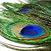 Herebuy8 50pcs Real Natural Peacock Tail Eyes Feathers Perfect for Wedding Party Arts And Crafts Home Decorations DIY (50pcs)