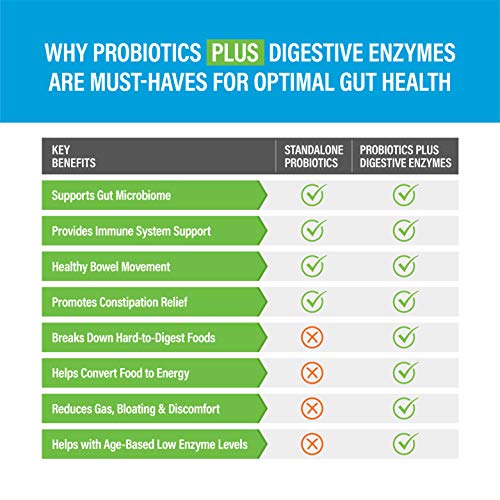 Zenwise Probiotic Digestive Multi Enzymes, Probiotics for Digestive