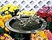 Hummingbird Sundial Birdbath Finish: French Bronze