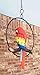Ebros Patio Home Garden Hanging Scarlet Macaw Parrot Perching on Branch in Metal Round Ring Figurine Sculpture Nature Lovers Tropical Bird Collectors Decor 13.5