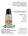 Ovvio Oils Cedar wood - 100% Pure Premium Therapeutic Grade Essential for Aromatherapy-Holistic (Comparable to Doterra, Young Living, Eden's Garden) Orgin-Morocco-100% Authentic, Large, 15 ml