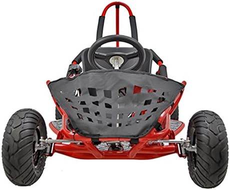 1000w buggy