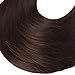 SARLA Ballet Bun Extensions Chestnut Brown Synthetic Drawstring Updo Hair Bun Hair Piece for Women Girls Lady Donut Chignon