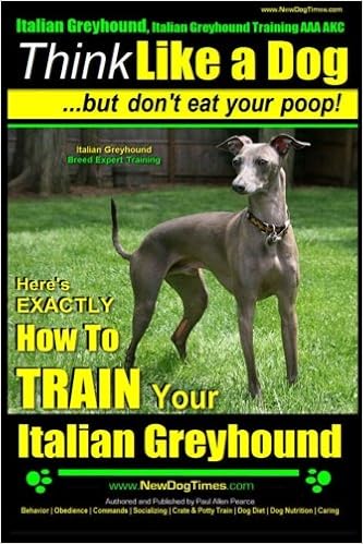 italian greyhound average price