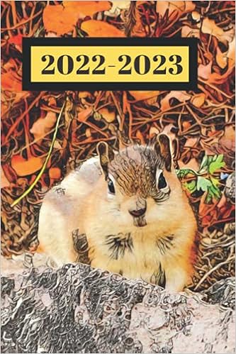 Autumn Brown Chipmunk Squirrel Dated Calendar Planner 2 Years To-Do Lists,Tasks, Notes Appointments: Cute Small Pocket/Purse Size At-A-Glance ... Lovers (Cute Calendar Book: 2022 2023): Closs, Sandy: 9781703766080: Amazon.com: Books