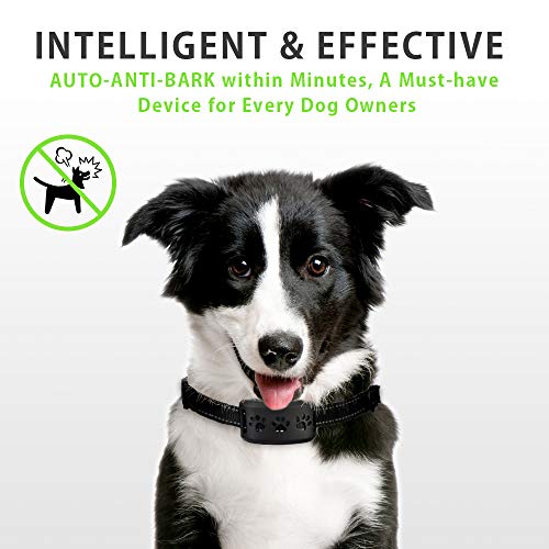 ZGO Dog Bark Collar - Bark Control Training Collar w/2 Modes Beep Vibration & w/or w/o Shock for Small Breed Medium and Large Dogs ZGO-165 Rechargeable Anti Bark Collar Smart Detection Module