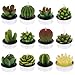DaveandAthena 12 Pieces Cactus Tealight Candles Handmade Delicate Succulent Cactus Candles for Birthday Party, Wedding, Spa, Home Decoration (Style 1)