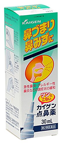 カイゲン カイゲン点鼻薬の商品画像