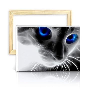 Ufengke Schwarze Katze 5d Diamant Malerei Set Mosaik Diy Diamond Painting Nach Zahlen Kreuzstich Stickbilder Mit Holzkeilrahmen Design 25x35cm