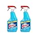 Windex® Glass & Multi Surface Cleaner, 32 Oz, Pack of 2