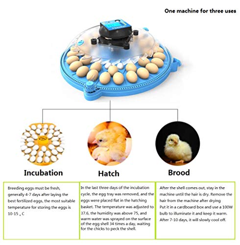 ALWUDI 48 Eier MotorbrüTer HüHner, 360-Grad-Ansicht Mini voll Eier Automatischer Brutapparat Brutmaschine für Hühner… – Bild 4