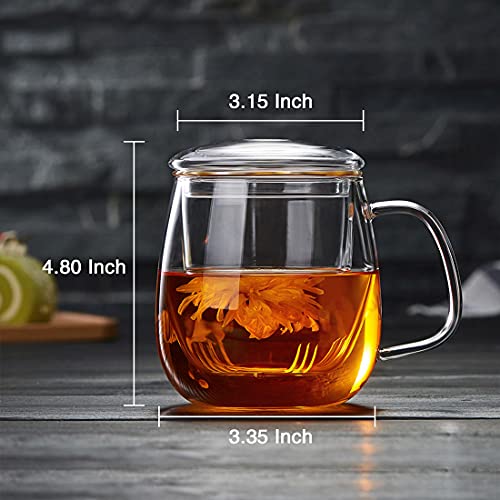 DOPUDO PAVILION Glass Tea Cup with Infuser and Lid, 17.6oz/ 520ml
