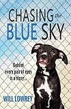 Chasing the Blue Sky