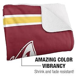 Northern State University Primary Logo Stripes