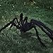 yosager 4Pcs Realistic Giant Spiders Outdoor Halloween Decorations, Huge Hairy Scary Halloween Spider Prop, Black Spooky Spider for Indoor House Outdoor Window Yard Patio Decor (24