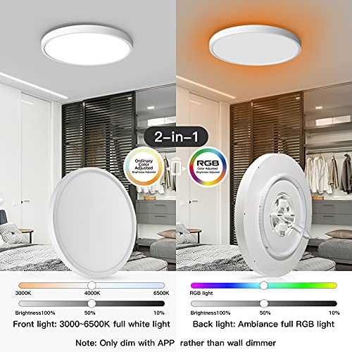 Taloya Flush Mount Smart LED Ceiling Light,12 inch,24W,30006500K White