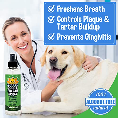 Bodhi Dog Large Natural Dog Breath Freshener for Dogs Teeth and Healthy