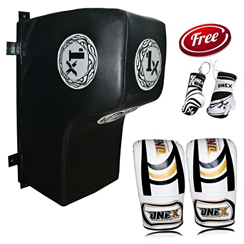 wall mounted striking pads