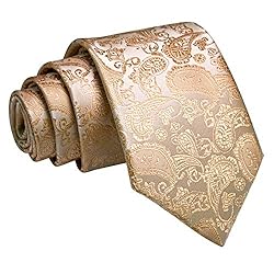 JEMYGINS Gold Paisley Tie Wedding Business Silk