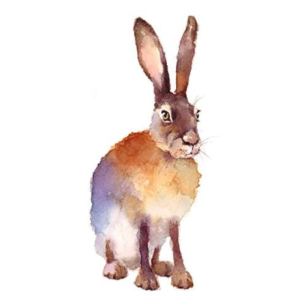 Wee Blue Coo Hare Watercolour Isolated Art Print Canvas Premium Wall Decor Poster