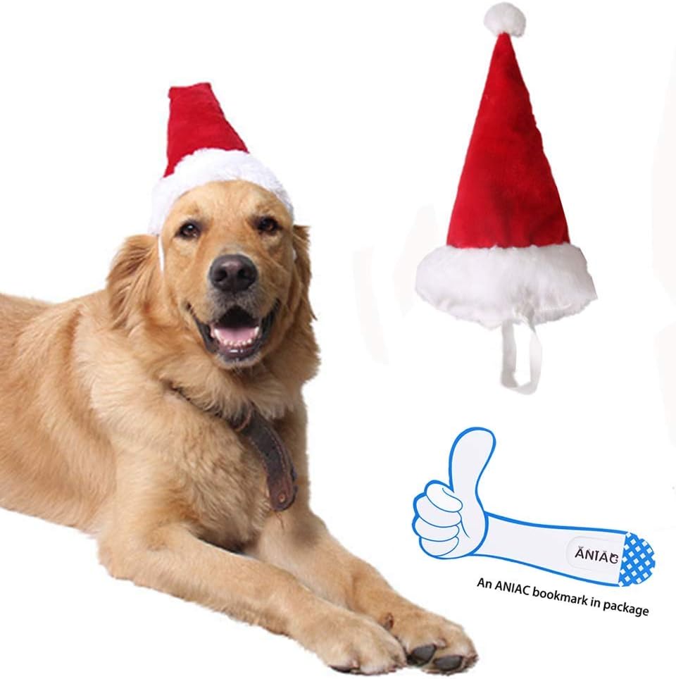 kids getting dogs for christmas