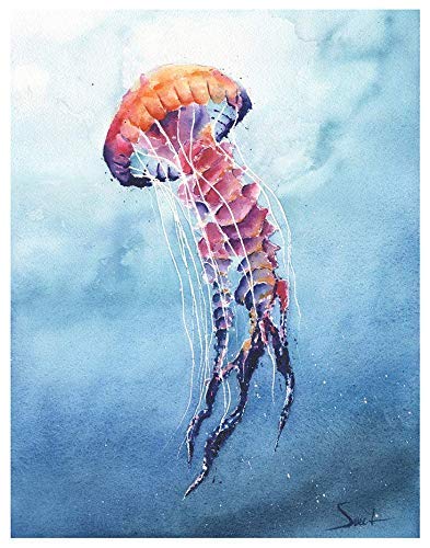 Jellyfish Painting Watercolor Art Print