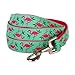 Blueberry Pet Essentials 2 Patterns Durable Pink Flamingo on Light Emerald Dog Leash 5 ft x 3/4