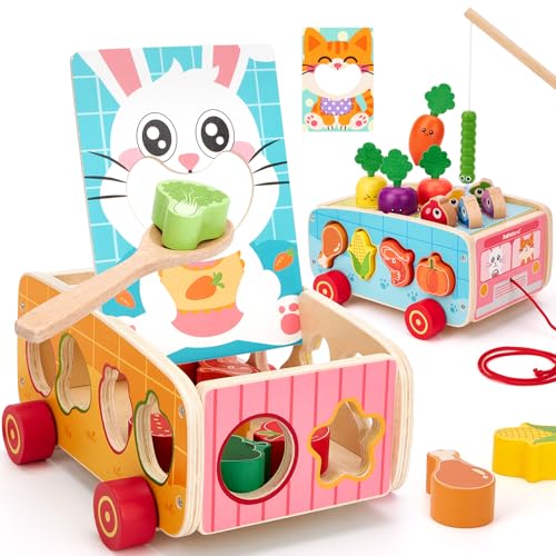 hahaland Montessori Toys 1 Year of Wood, 5 in 1 Educational Activities | Shape Sorting, Magnetic Fishing & Feeding Set, Carrot Harvest, Baby Gift 1-3 Years