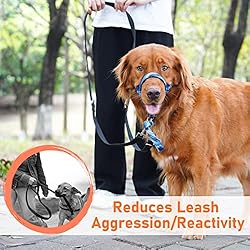BARKLESS Head Collar for Dogs, No Pull Printed