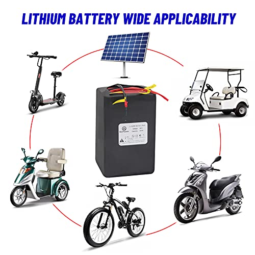 48V 30AH Ebike LiFePO4 Battery Electric Bike Battery Pack with 5A