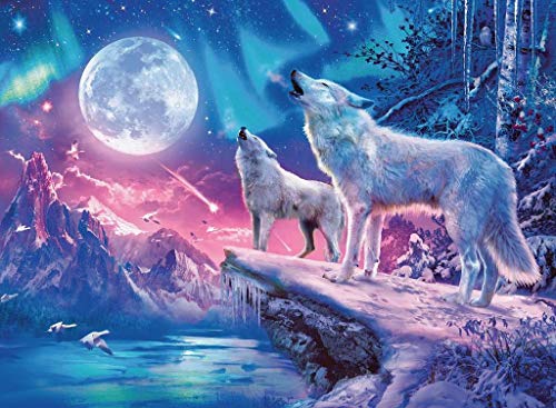 Wolf im Nordlicht – Bild 3