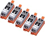 5 Pack Compatible Canon PGI-35 5 Black for use with Canon PIXMA iP100l, PIXMA mini260, PIXMA mini320, RFB IP100. Ink Cartridges for inkjet printers. PGI-35-BK / 1509B002 © Blake Printing Supply